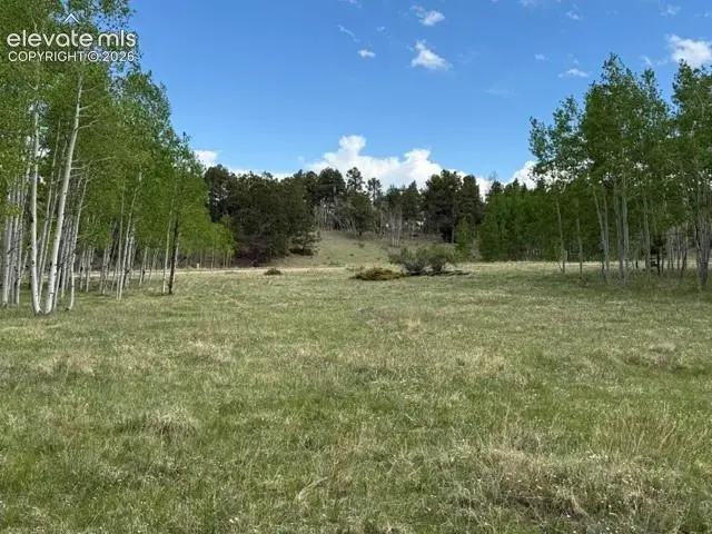 417 Aspen Way Drive, Florissant, CO 80816 - #1