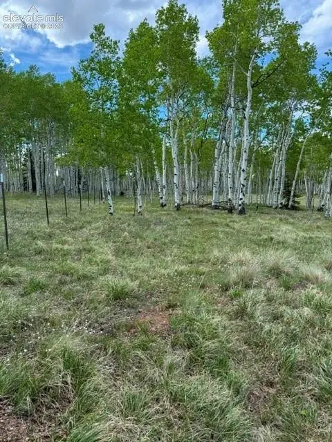 417 Aspen Way Drive, Florissant, CO 80816 - #3