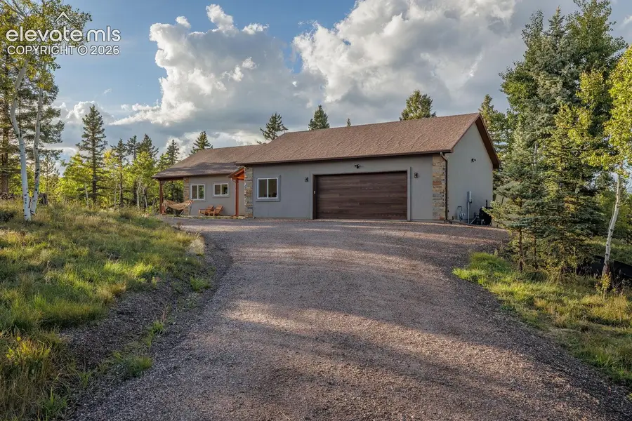549 Aspen Village Road, Divide, CO 80814 - #2