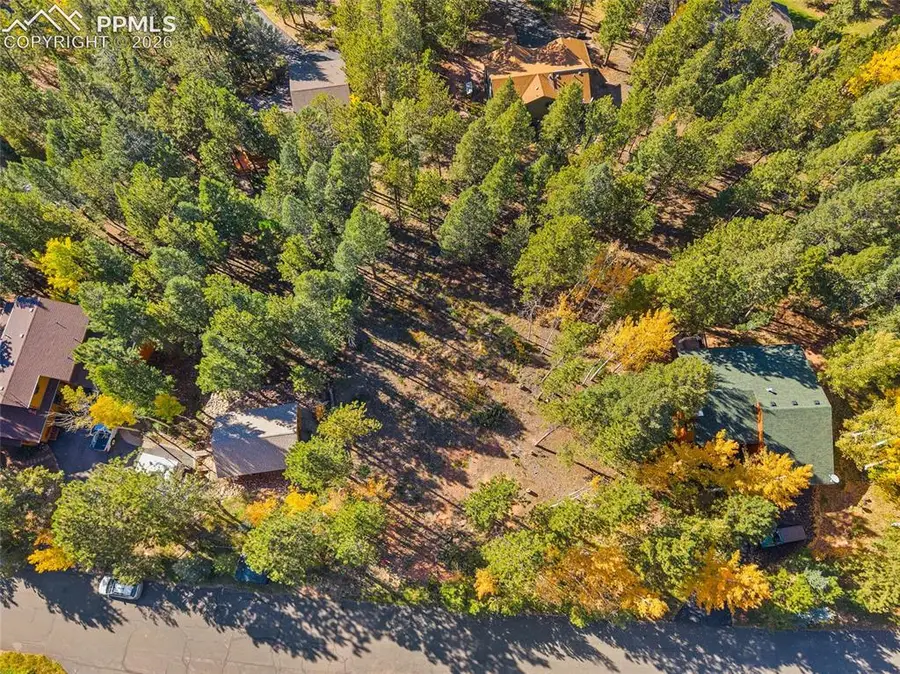 1320 Forest Edge Road, Woodland Park, CO 80863 - #2