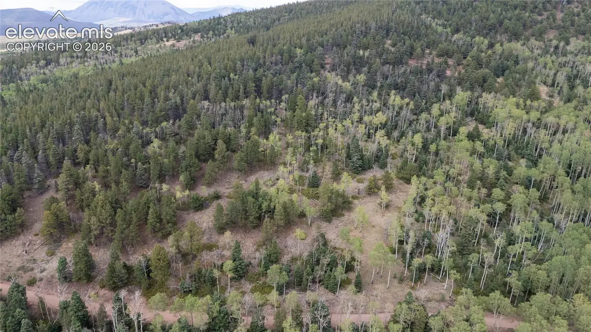 Lot 2915 Henderson Drive, Fort Garland, CO 81133 - #1
