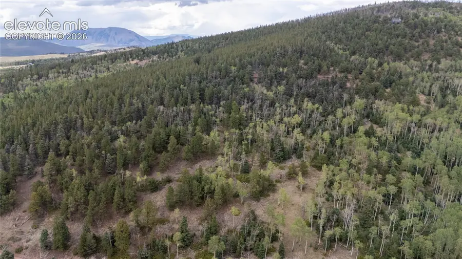 Lot 2915 Henderson Drive, Fort Garland, CO 81133 - #3