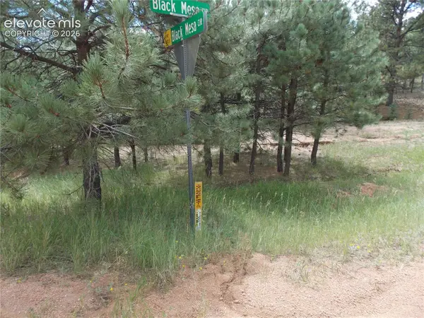738 Black Mesa Circle, Florissant, CO 80816