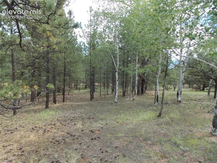 738 Black Mesa Circle, Florissant, CO 80816 - #3