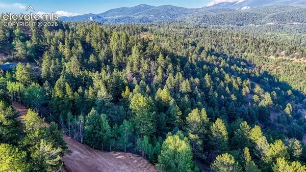 364 Blue Spruce Road, Divide, CO 80814