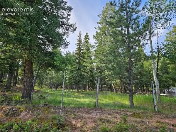 Rolling Park Drive, Woodland Park, CO 80863