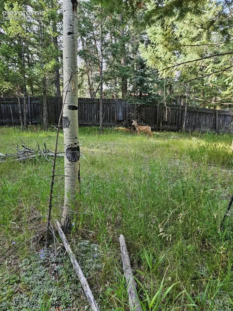 Rolling Park Drive, Woodland Park, CO 80863 - #3