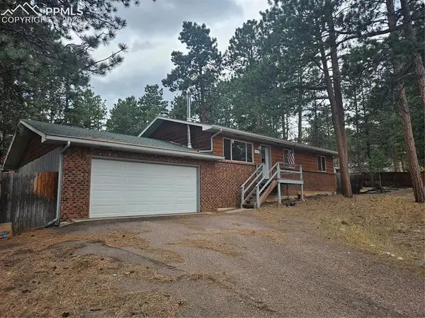 1005 W Lorraine Avenue, Woodland Park, CO 80863