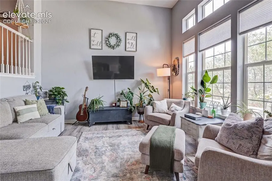 1458 Nemrick Place, Castle Rock, CO 80109 - #3