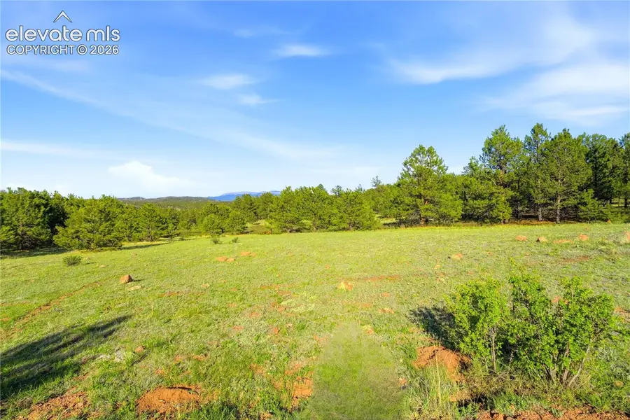 Doe Valley Road, Guffey, CO 80820 - #2