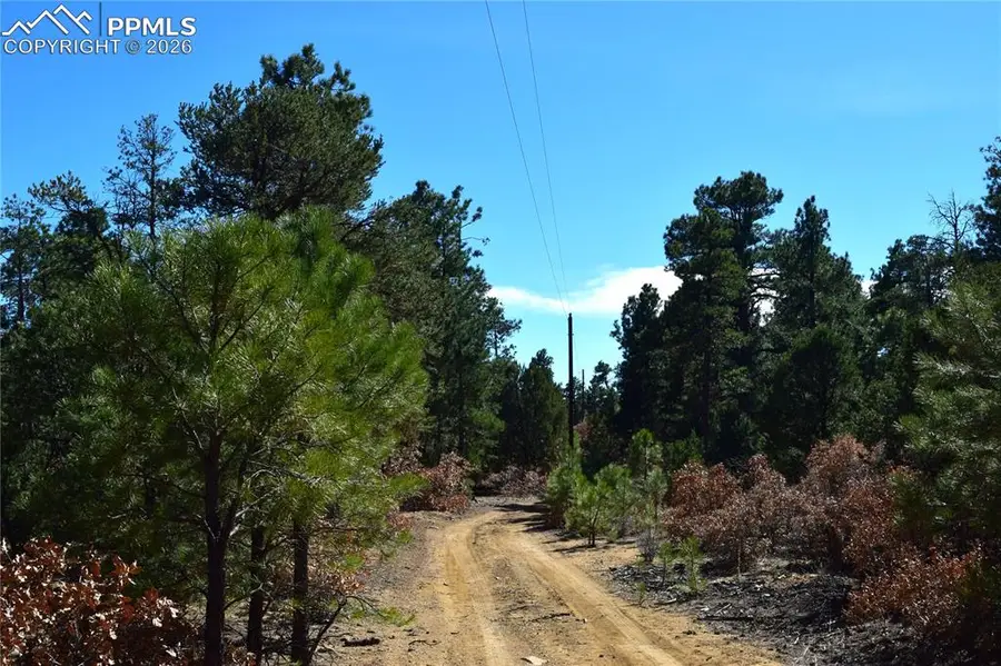 000 Ponderosa Trail, Trinidad, CO 81082 - #2