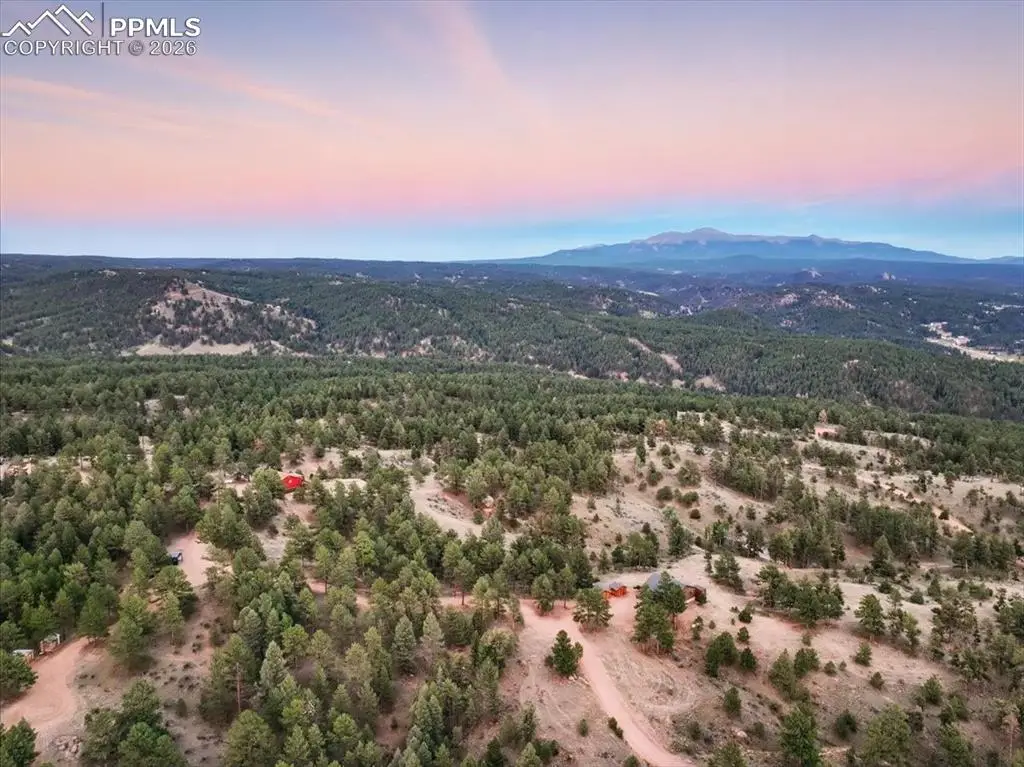 1721 Wildhorn Road, Florissant, CO 80816 - #1