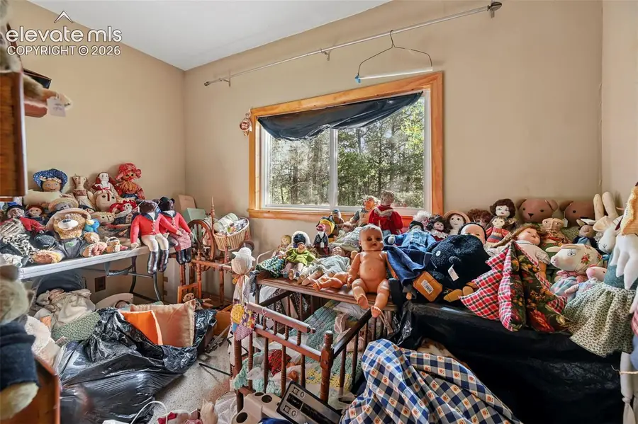 2659 Edlowe Road, Woodland Park, CO 80863 - #3