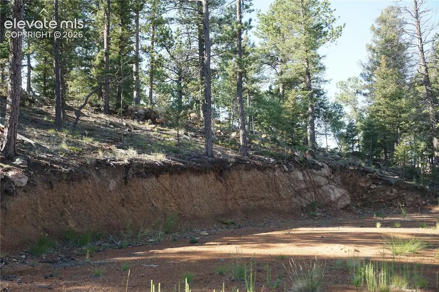 422 Spring Valley Drive, Divide, CO 80814 - #3