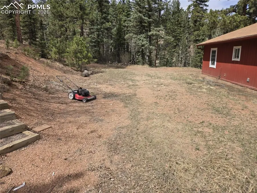 875 Obsidian Drive, Florissant, CO 80816 - #3