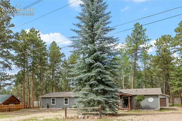 450 County Road, Woodland Park, CO 80863