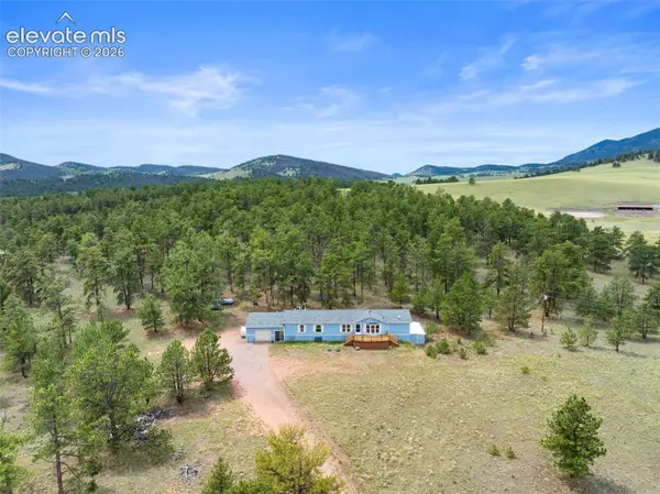 1325 County Road 59 Road, Guffey, CO 80820
