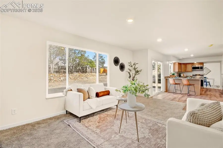 2973 E Whileaway Circle, Colorado Springs, CO 80917 - #3