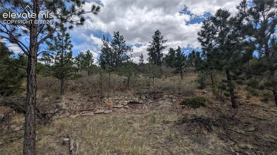 1245 Glenrock Drive, Colorado Springs, CO 80926 - #3