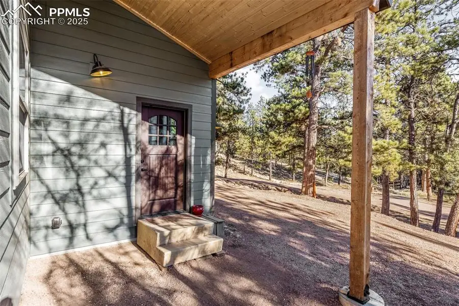 2270 Pikes Peak Drive, Florissant, CO 80816 - #3