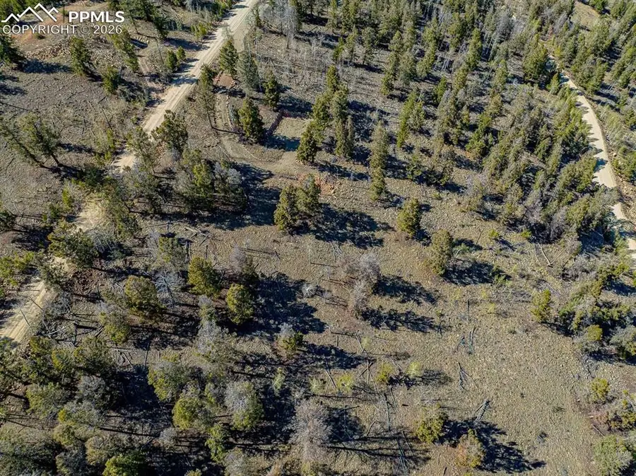 5302 Middle Fork Vista, Fairplay, CO 80440 - #2