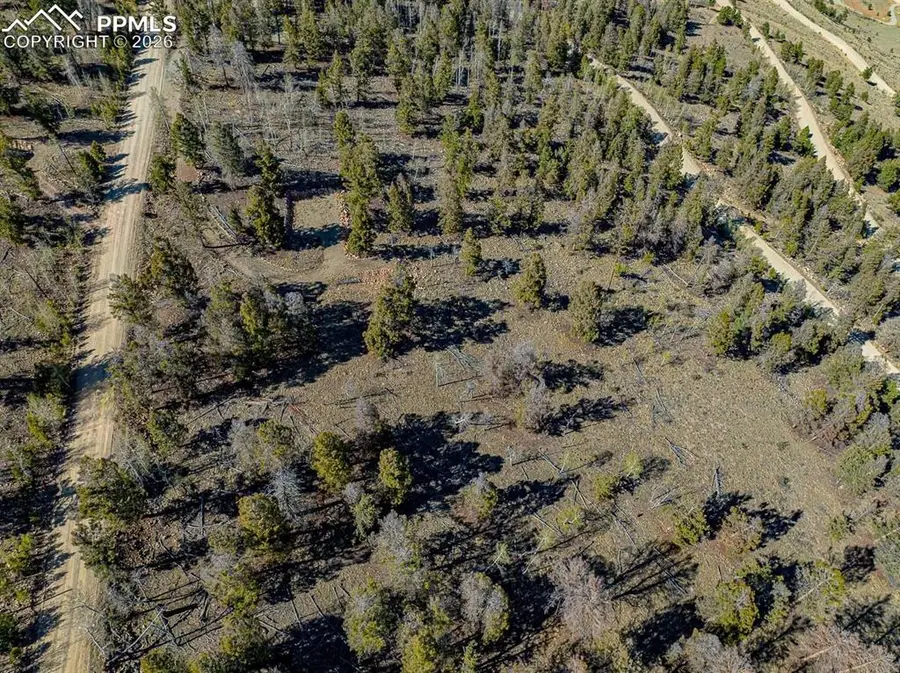 5302 Middle Fork Vista, Fairplay, CO 80440 - #3