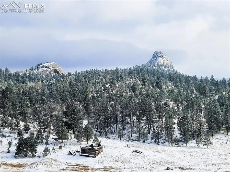 409 Wind Dancer Circle, Florissant, CO 80816 - #2