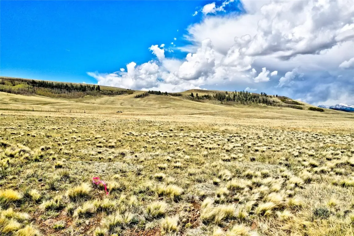 00 Hard Hickory Trail, Hartsel, CO 80449 - Image #1