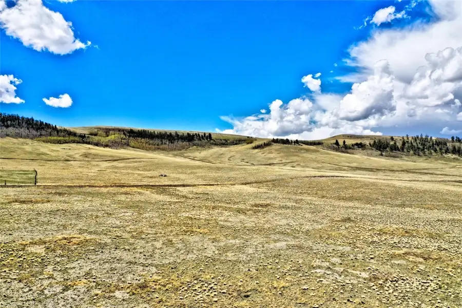 00 Hard Hickory Trail, Hartsel, CO 80449 - Image #3