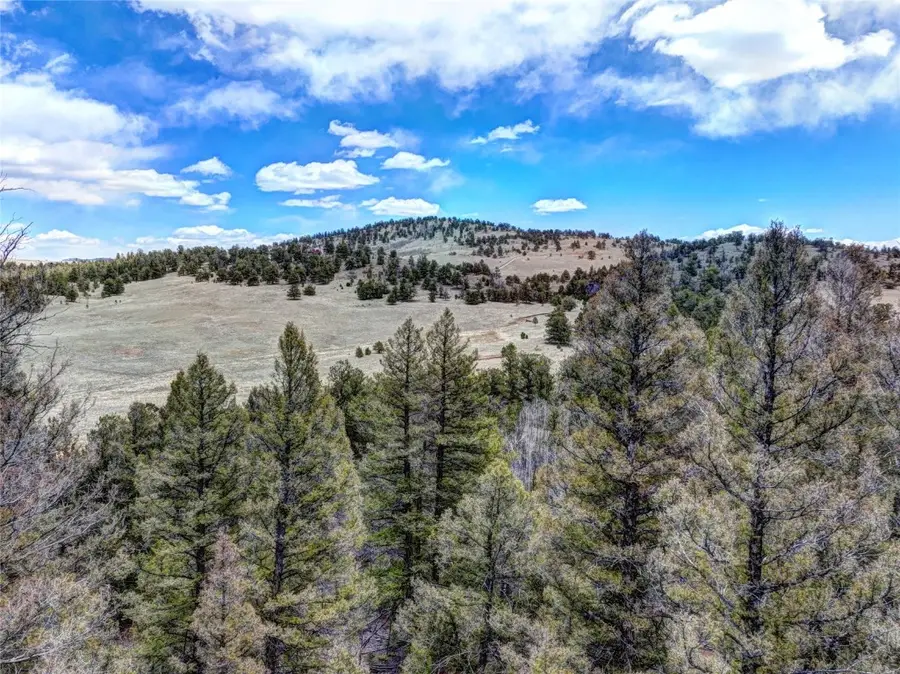 0 Galahad Way, Hartsel, CO 80449 - Image #3