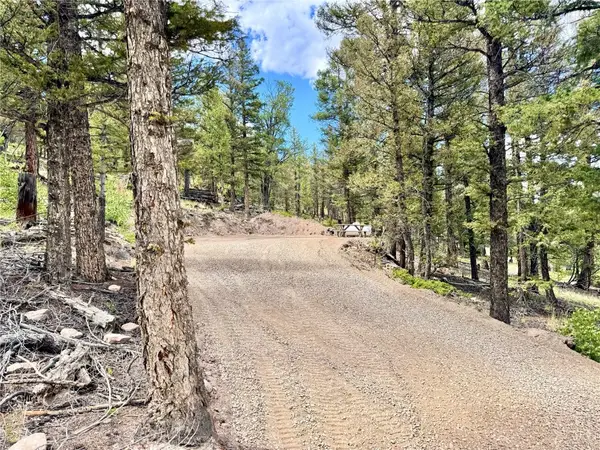 2843 Redhill Road, Fairplay, CO 80440