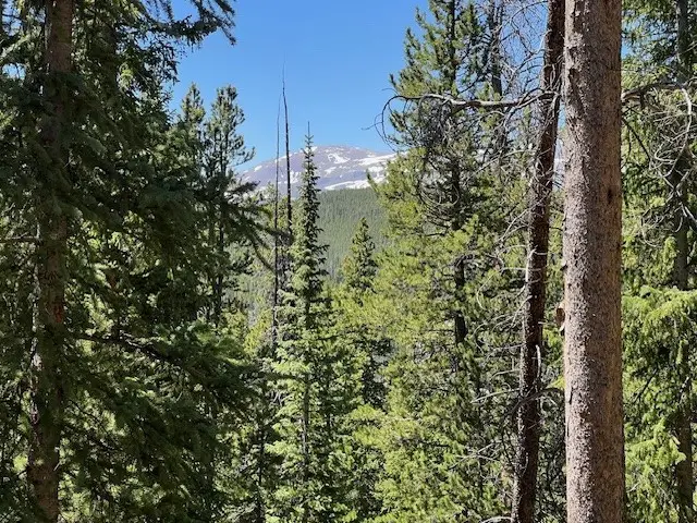 277 Goldenview Drive, Breckenridge, CO 80424 - Image #3