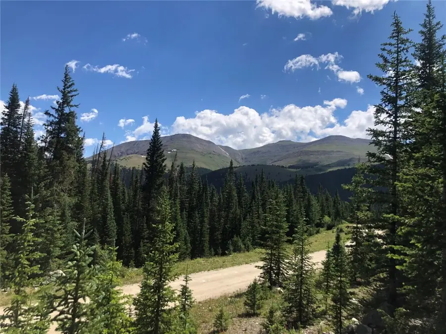 321 Cr 805, Breckenridge, CO 80424 - Image #3