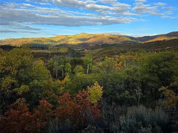 50560 Smith Creek Park Road, Steamboat Springs, CO 80487