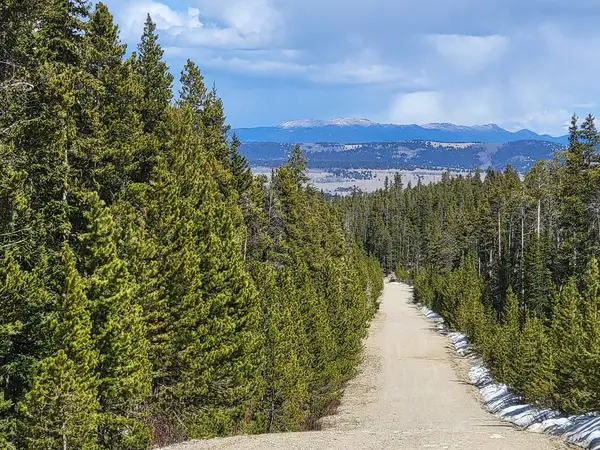 301 Vots Drive, Fairplay, CO 80440