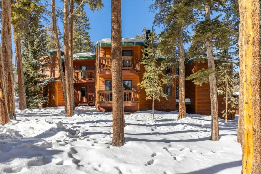 1140 Ski Hill Road #25, Breckenridge, CO 80424 - Image #3