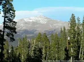 #1