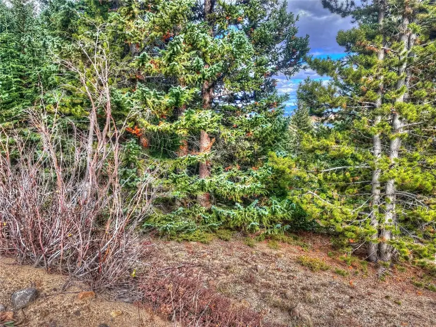 486 Valley Of The Sun Drive, Fairplay, CO 80440 - Image #2