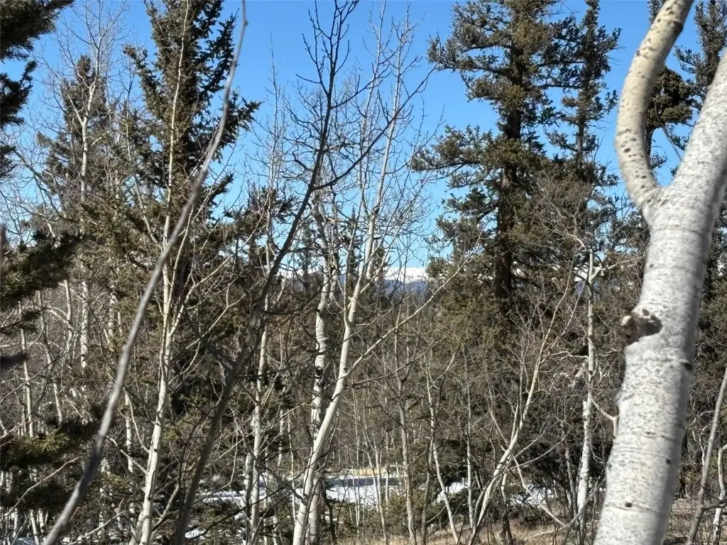 192 Bear Way, Como, CO 80432 - Image #1