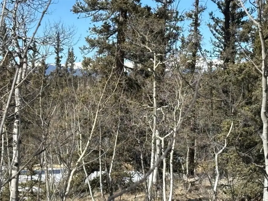 192 Bear Way, Como, CO 80432 - Image #2