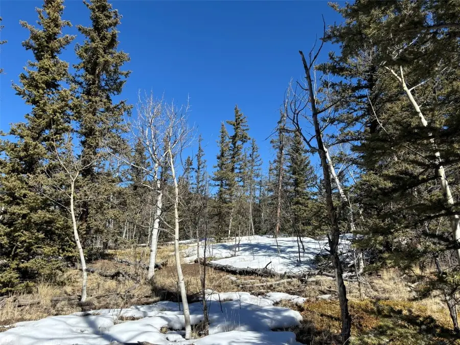 192 Bear Way, Como, CO 80432 - Image #3