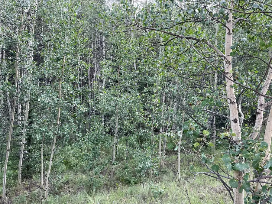 #3