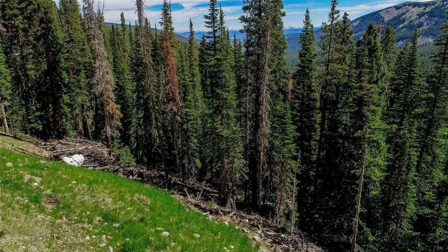 434 Carroll Lane, Breckenridge, CO 80424 - Image #3