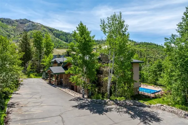 2883 Burgess Creek Road #202, Steamboat Springs, CO 80487