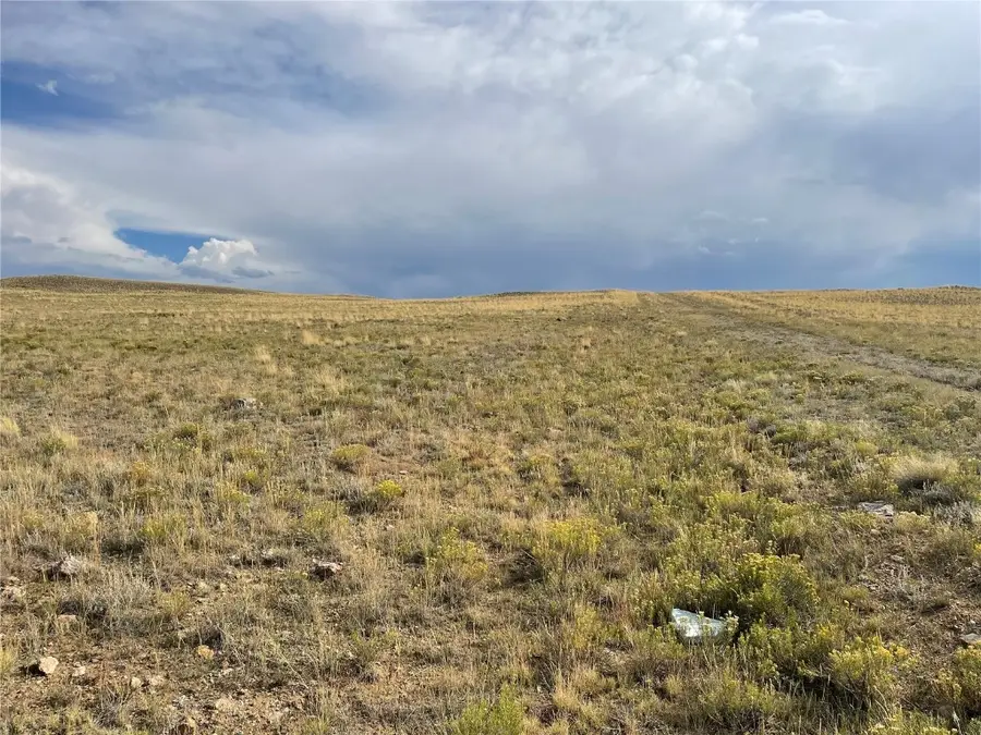 1070 Chickamauga Trail, Hartsel, CO 80449 - Image #2