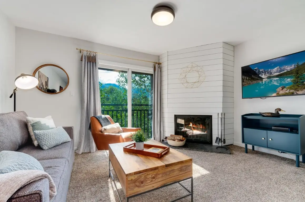 401 S Ridge Street #21, Breckenridge, CO 80424 - #1