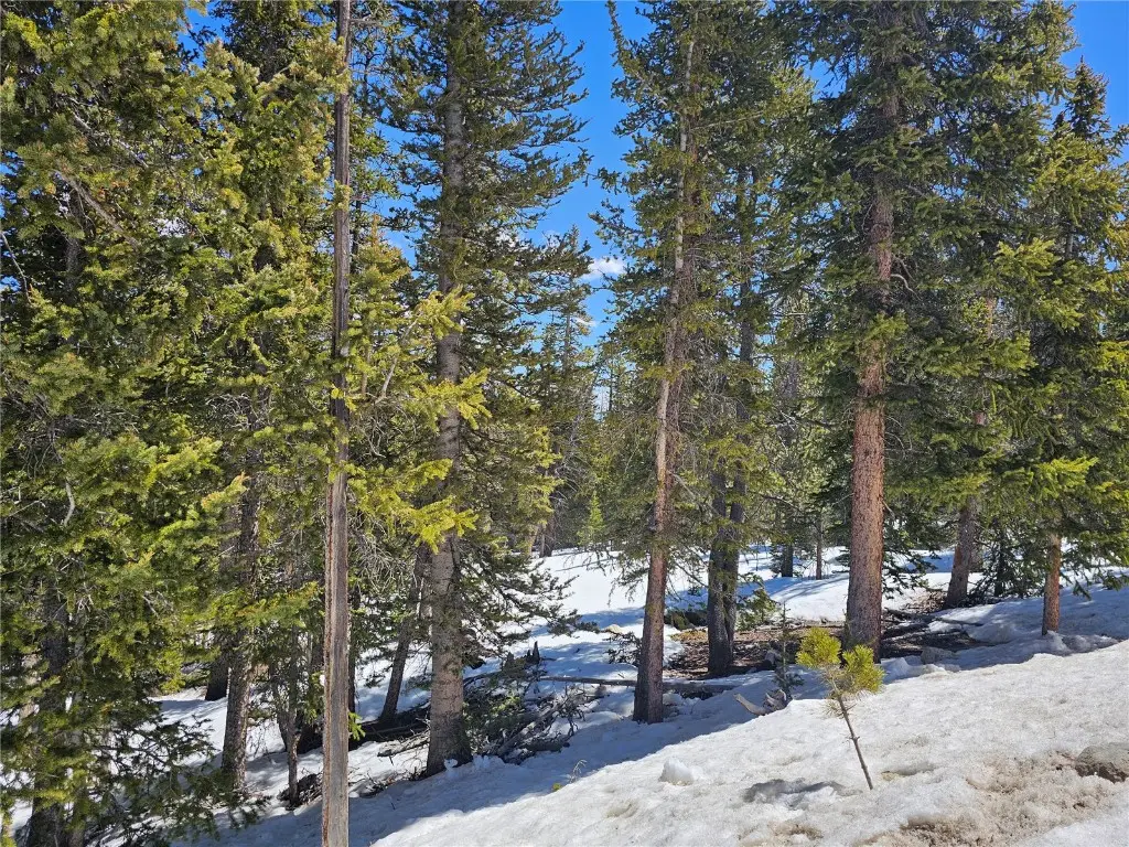 318 El Lobo Lane, Fairplay, CO 80440 - #1