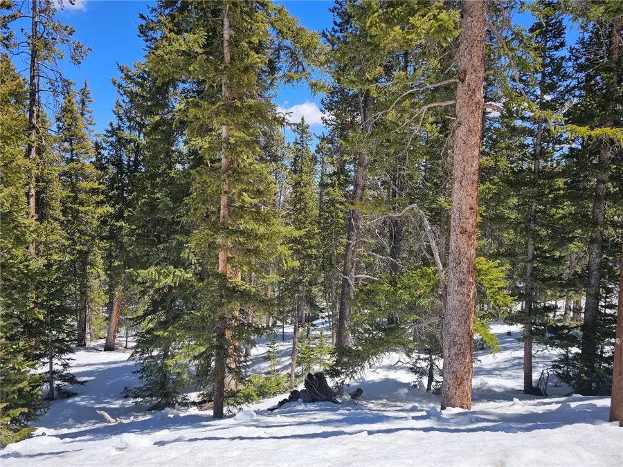 318 El Lobo Lane, Fairplay, CO 80440 - #2