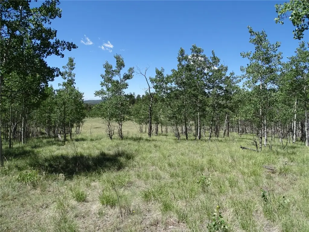 782 Bowstring Road, Como, CO 80432 - Image #1