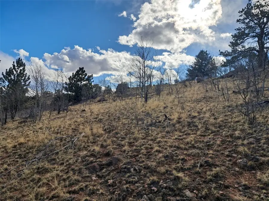 908 Raven Way, Como, CO 80432 - Image #3